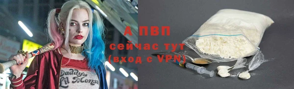 сатива Касимов