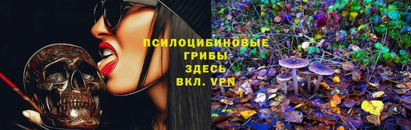 сатива Касимов