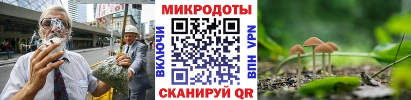 Псилоцибиновые грибы Psilocybe  Купить где  Богородицк 